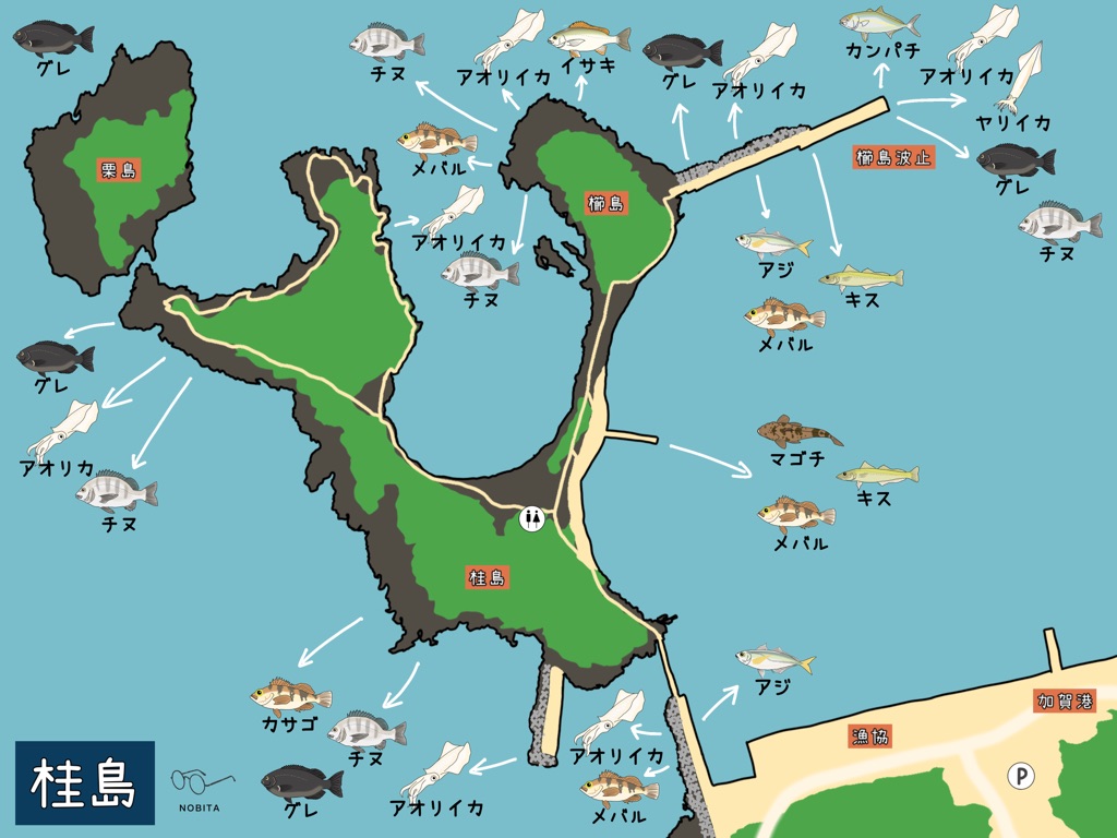 桂島で釣れる魚をマップ付きで紹介