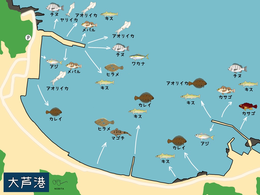 大芦港で釣れる魚をマップ付きで紹介