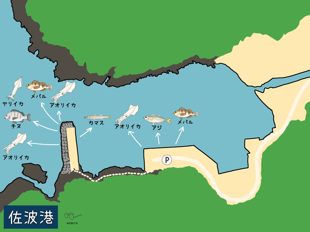 佐波港で釣れる魚をマップ付きで紹介