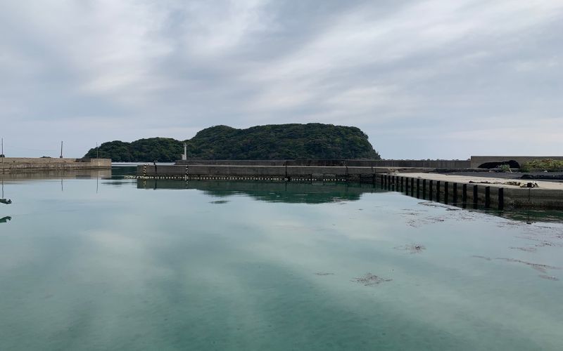 野井港の釣り場風景